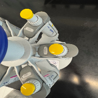 Eppendorf Research Plus Single Channel Pipettes - Quantity 6 image 1